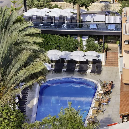 Flower 3* 阿拉尼亚